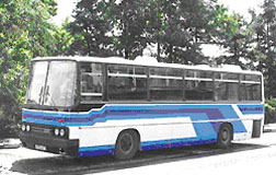 Пассажирские перевозки на Neoplan 316 SHD