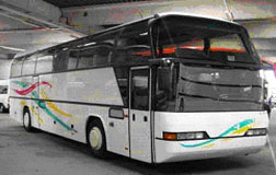 Пассажирские перевозки на Neoplan 316 SHD